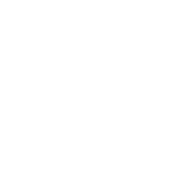 TOMMY di Napoli Kft.